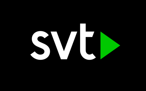 Anna Felländer comments in Swedish television on the consequences of ungoverned AI
