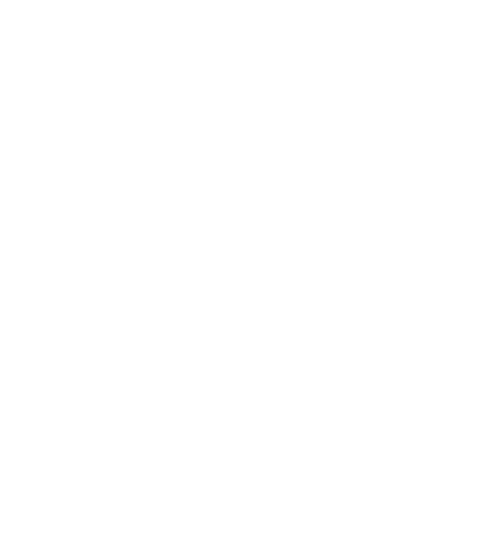 anch.AI Logo
